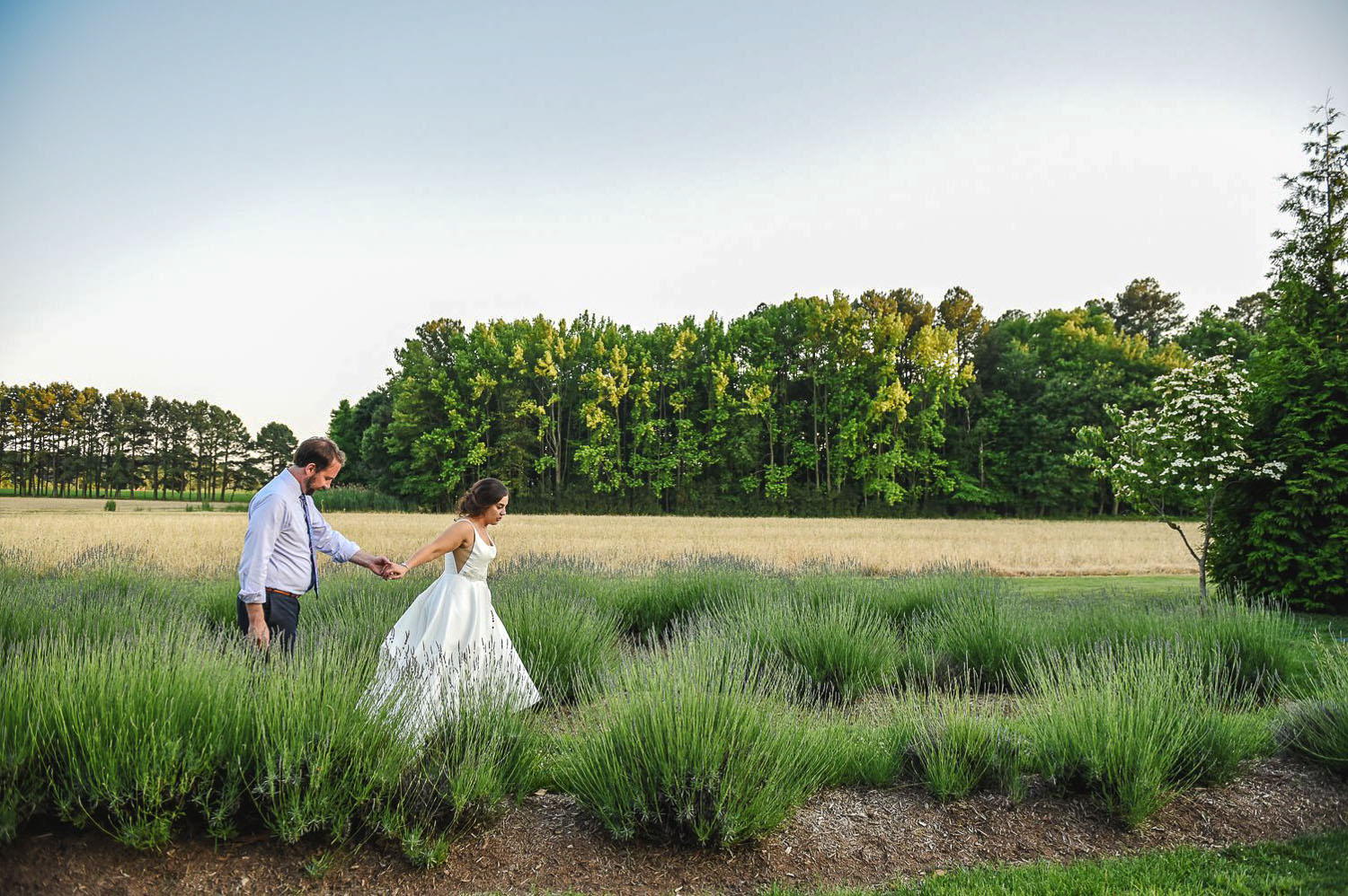Huntigfield Creek Wedding