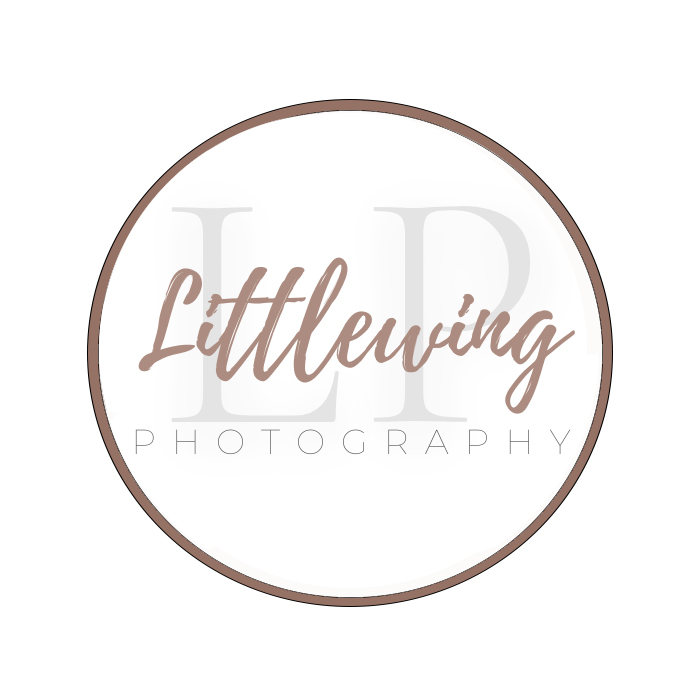 Littlewing Studio