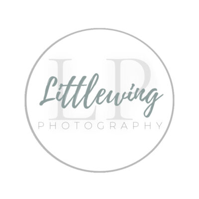 Littlewing Studio